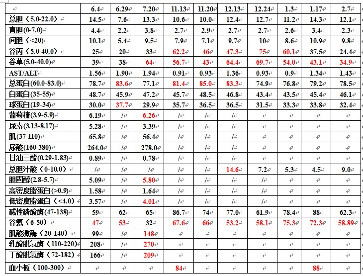 20130207.jpg