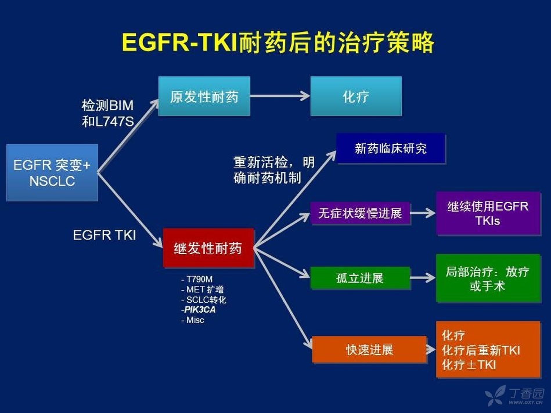 EGFR TKI.jpg