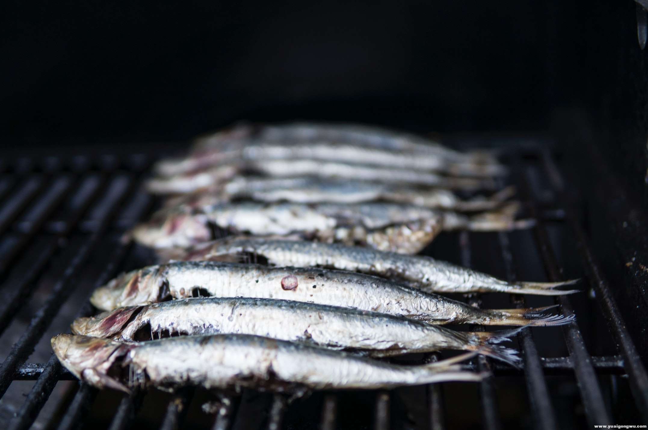 photo-of-raw-fish-on-grill-1321124.jpg