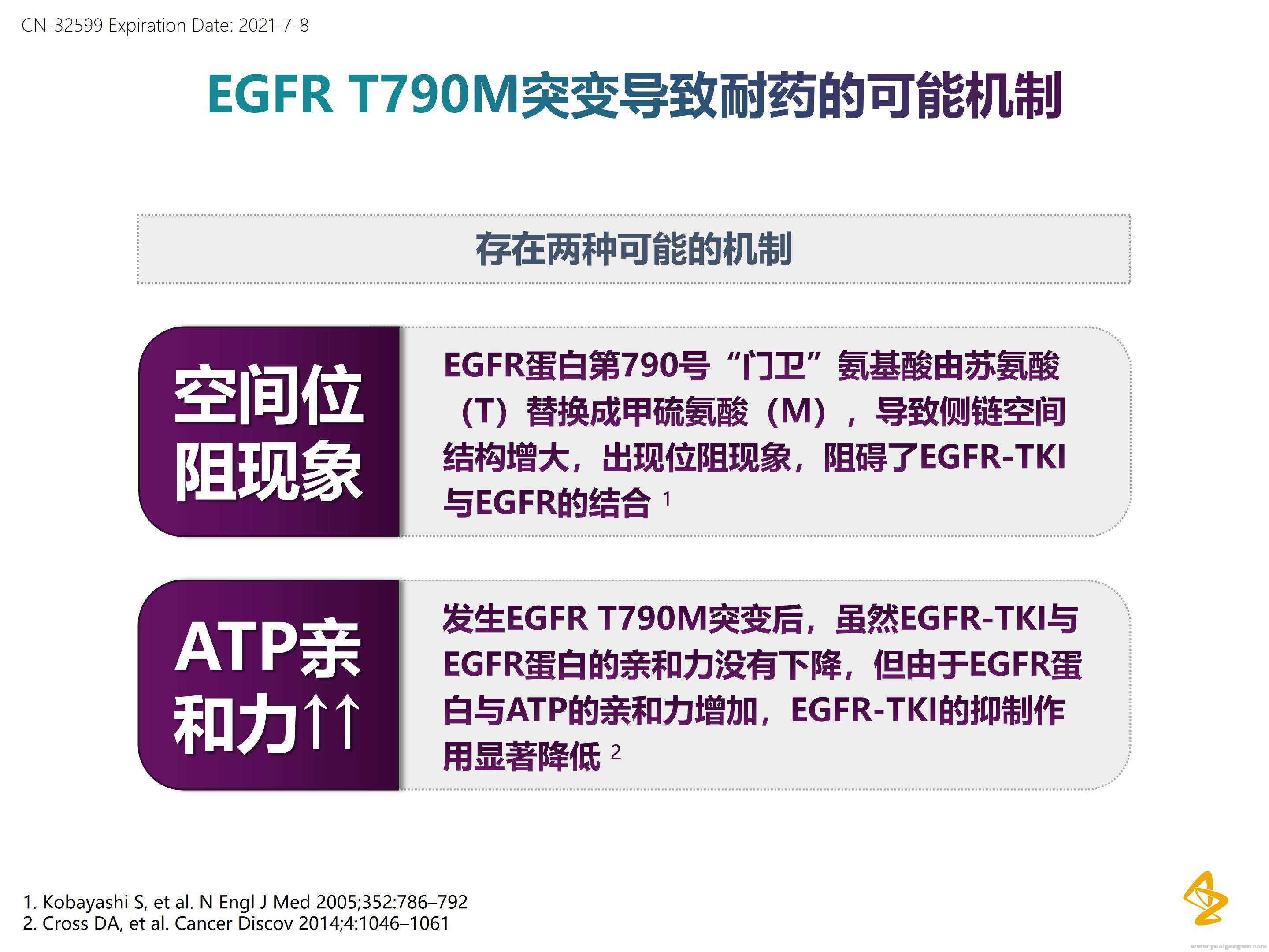 EGFR突变靶向治疗全程管理_09.jpg