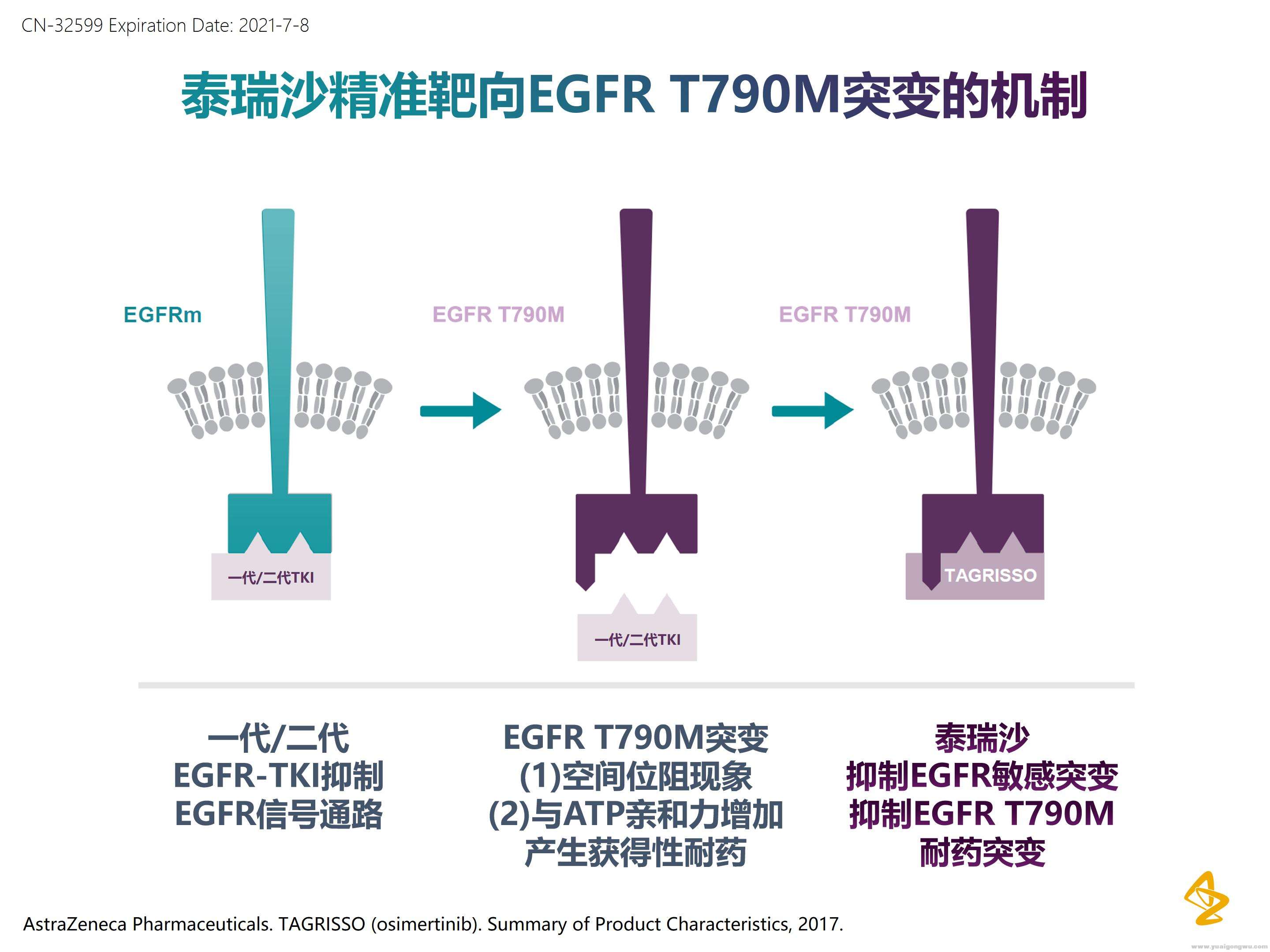 EGFR突变靶向治疗全程管理_10.jpg