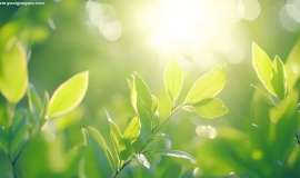 肺癌药物亲身体验：有肿瘤消失的惊喜，也有新的挑战澳洲肺癌治疗方案实录（六） ...