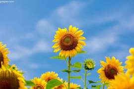 76岁的我抗肺癌2年了，5点治疗心得体会希望帮助大家抗癌之路走得更顺 ...