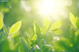 肺癌药物亲身体验：有肿瘤消失的惊喜，也有新的挑战澳洲肺癌治疗方案实录（六） ...