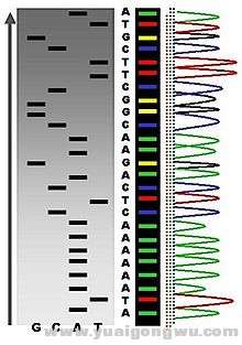 一代基因测序技术.jpg