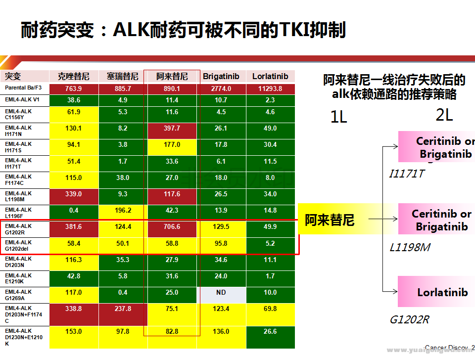 于雁--不一样的时代：ALK阳性非小细胞肺癌全程管理_46.png