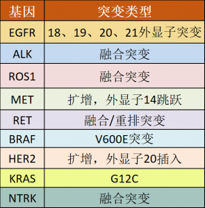 一键收藏丨非小细胞肺癌靶向药大汇总