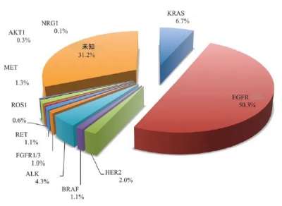 肺癌患者必看！2024肺癌靶向药及副作用处理方法汇总丨年...