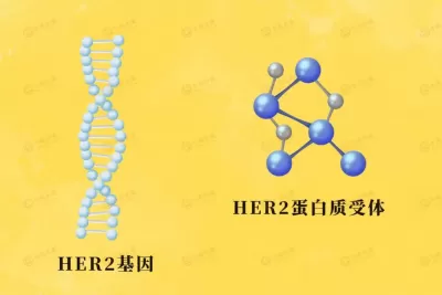 全癌种可用的抗癌药获批！超52%肺癌患者肿瘤显著缩小或消失！ ...